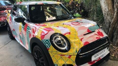 Long-standing French art car series graces Sunshine Coast street