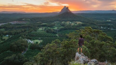 What does Biodiversity look like on the Sunshine Coast?