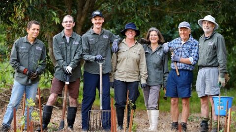 Looking to volunteer? Join a BushCare Community group