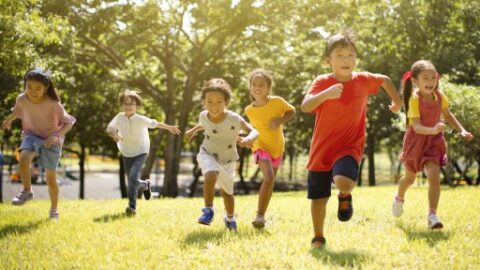 School holiday activity packs are back thanks to Sunshine Coast Libraries