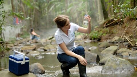 Queensland a high performer in Excellence in Research for Australia